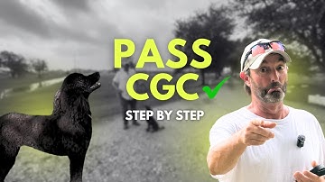 How To Pass The AKC Canine Good Citizen Test | Step-by-Step CGC Dog Training Guide