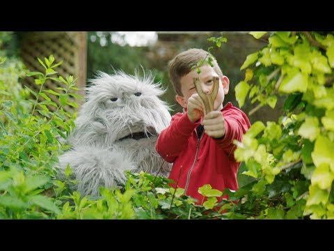 Tom Rosenthal - The Only Good Thing About Bad Bob