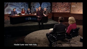 Jon Ensor - TV show guest highlights/teaser