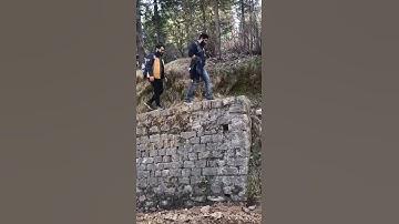 #shorts #live #youtube #trending #subscribe #comedy #joker #sigmarule #youtubeshorts