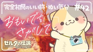 【ブレワイ】最後の思い出を求めて... #42🍣いい旅・ぬい気分【ゼルダの伝説BotW/むぅたま VTuber】