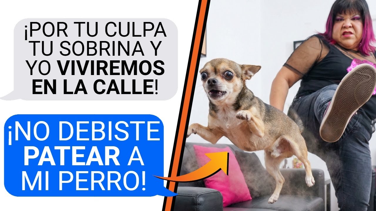 ECHÉ a la CALLE a MI CUÑADA Y SU HIJA por PATEAR a MI PERRO - ¿SOY YO LA MALA? | r/AITA