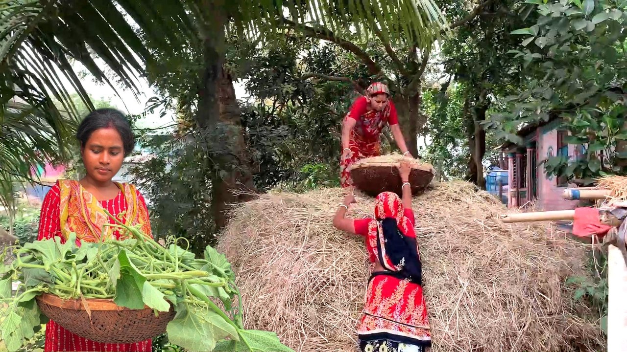 আমাদের গ্রামের সাধারন জীবন যাপন🤔 আপনাদের কেমন লাগে
