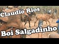 Música de Claudio Rios para o Boi Salgadinho