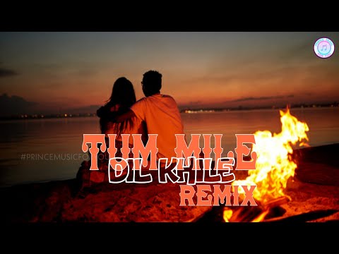Tum Mile Dil Khile ReMiX Song | Criminal Songs | Akkineni Nagarjuna, Manisha Koirala | Kumar Sanu