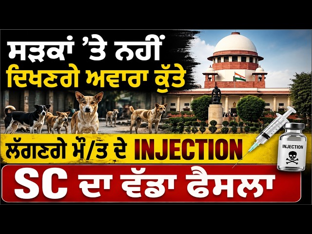ਸੜਕਾਂ ’ਤੇ ਨਹੀਂ ਦਿਖਣਗੇ ਅਵਾਰਾ ਕੁੱਤੇ ਲੱਗਣਗੇ ਮੌ/ਤ ਦੇ INJECTION SC ਦਾ ਵੱਡਾ ਫੈਸਲਾ