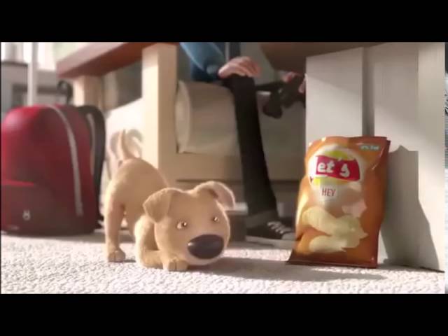 O cachorrinho defeituoso – Katia Di Giaimo