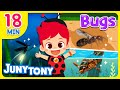 What Is Your Favorite Insect? | Bugs ABC, Mosquito Song +18minutes | Insect Songs for Kids |JunyTony