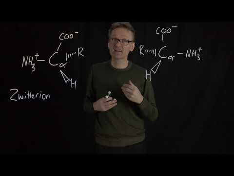 Video: Proč jsou aminokyseliny chirální?