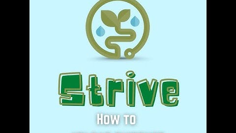 Strive Upload Evidence