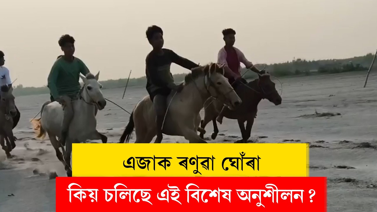 #horseracing | যোৰহাটৰ জাঁজীমুখৰ বৰলুইতৰ বলুকাত এজাক ৰণুৱা ঘোৰা।