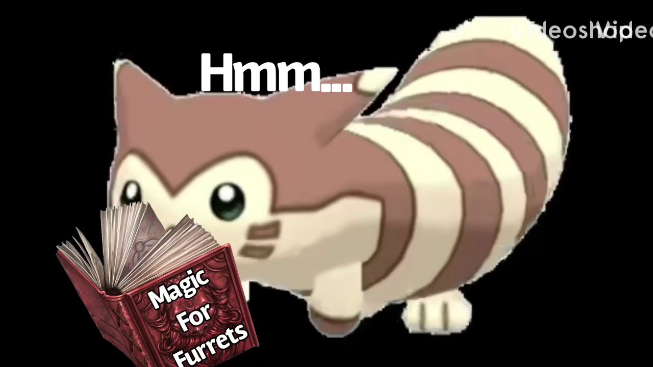 Furret starts to learn magic