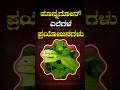 Ponnaganti Benefits | What Happens If You Eat Ponnaganti Leaves Daily? | #leafygreens #superfood