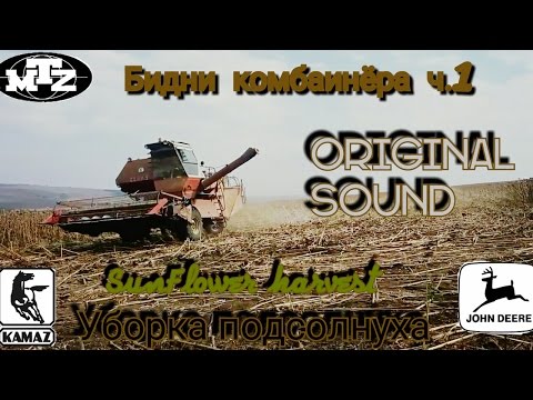 Уборка подсолнуха, Sunflower