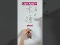 Learn Kanji and fruits in Japanese!!-木通(あけび,akebi)akebi