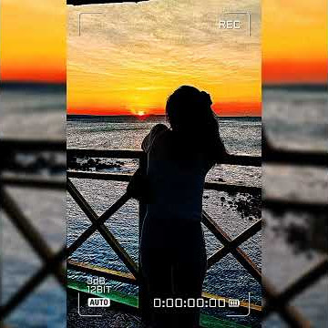 Story WA Terbaru || Lagu Barat || Zayn ft Sia_ Disk Till Dawn_Lirik dan Terjemahan