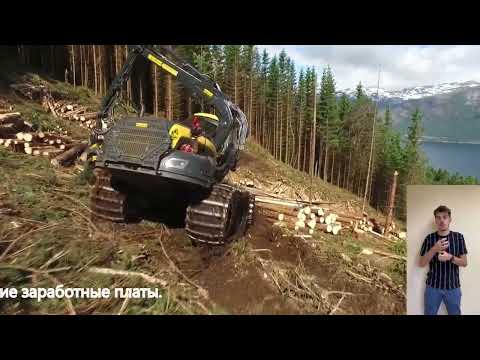 Машинист лесозаготовительных и трелевочных машин