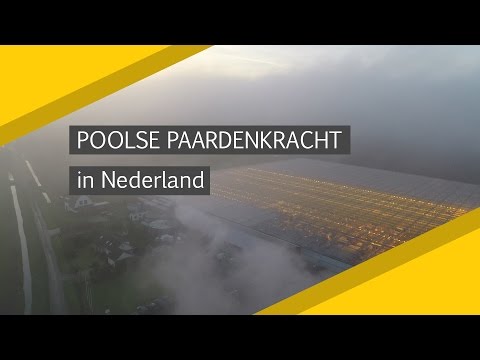 Video: 11 Zinnen Die Alleen Poolse Mensen Begrijpen - Matador Network