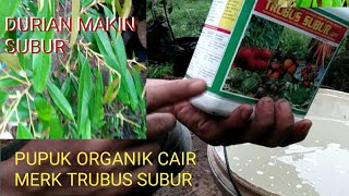 #Interval aplikasi dengan organik cair !!Merk trubus subur ke tanaman durian screenshot 1
