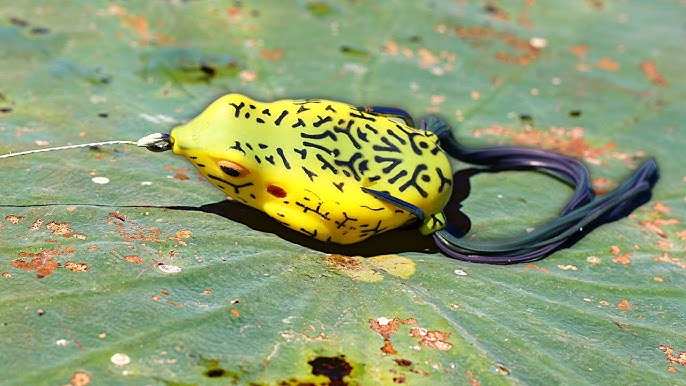 FROG HACKS That WILL Catch Big BASS 