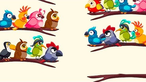 Bird puzzle game 🎯 live|| gameplay|| gaming