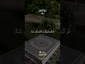 Deeply Emotional Calming Quran Recitation for Deep Sleep and Soul Healing #Quran #Peace