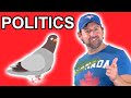 English for Politics ● Pigeonholing