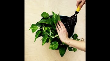 How It Works: Wally Eco