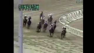 경마 중계에 비트를 얹는다면 screenshot 3
