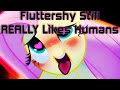 Fluttershy still really likes humans