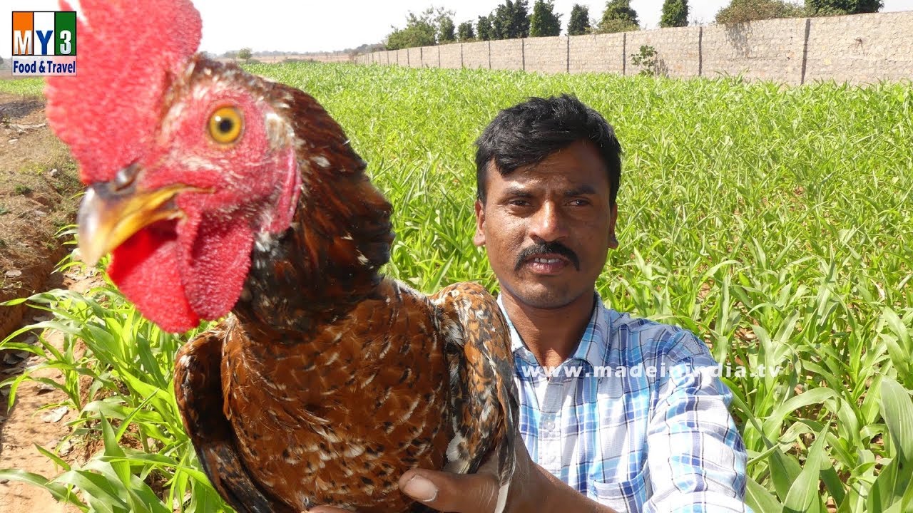 You Never Seen Before This Size of Country Chicken | Country Chicken Cleaning and Cutting | | STREET FOOD