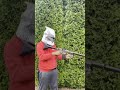 BB Guns Colt 1911 and Crossman R1 SBR