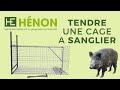 Tendre une Cage à Sanglier Hénon 🐗