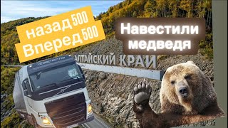 картинка: РЕЙС В АЛТАЙСКИЙ КРАЙ / УВИДЕЛИ МЕДВЕДЯ / БАРНАУЛ