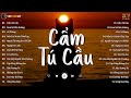Cẩm Tú Cầu Chờ Người Từ Lúc Nắng Dần Buồn Bản Hot TikTok Nhạc Trẻ Ballad Hay Nhất Hiện Nay