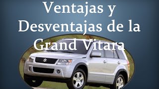 VENTAJAS Y DESVENTAJAS DE LA SUZUKI GRAND VITARA | 20052014