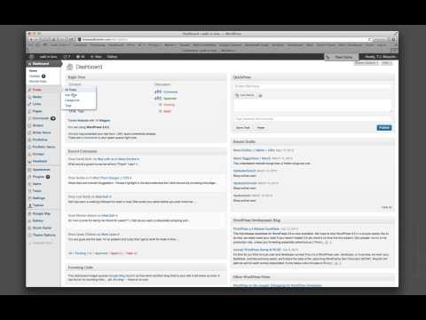 Adding content to wordpress / Saving as draft