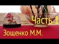 ЗОЩЕНКО М.М. СБОРНИК &quot;НЕРВНЫЕ ЛЮДИ&quot; Часть 1.