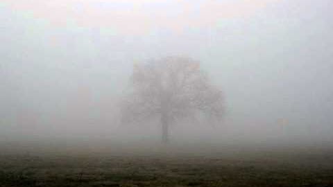 Lex Ellis - Abnormal