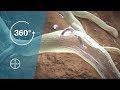 Nematodes and Crop Protection I 360°