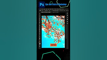 Easily remove the background of trees in photoshop