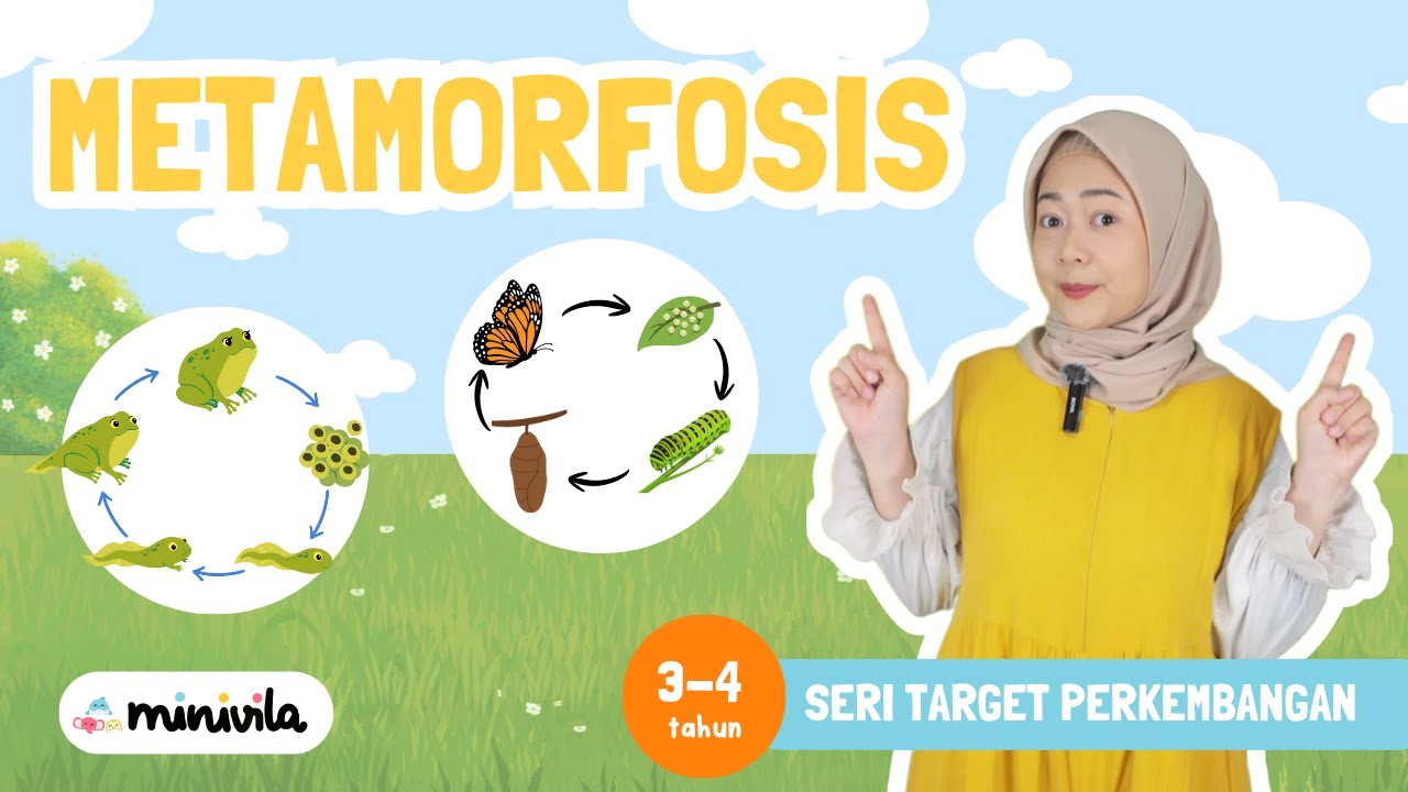 METAMORFOSIS | Belajar Sains dengan Cara yang Menyenangkan sambil Bermain dan Bernyanyi