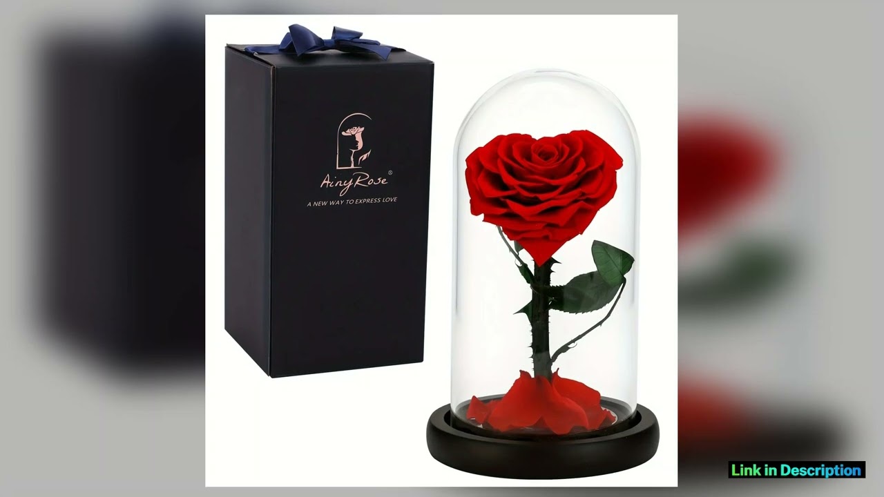 Heartshaped Forever Preserved Real Rose Eternal Flower for Valentines Day Mothers Day gifts