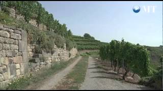 Felsengärten - Weinbau Im Naturschutzgebiet