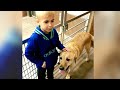 7-Year-Old Boy Creates An Underground Railroad That Saves 1000s Of Dogs From Heartbreaking Fate