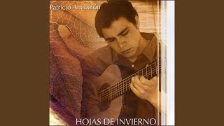 Video thumbnail of "Patricio Anabalón - Ala Incauta"