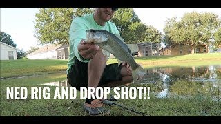 Pond Fishing with Finesse Tactics--Drop Shot and Ned Rig