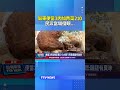 屏東便當3肉加青菜$210...民眾當場傻眼！ 店家這樣說 #便當