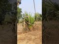 Islamic#video#please#subscribe# aur comment#Karen share Karen#
