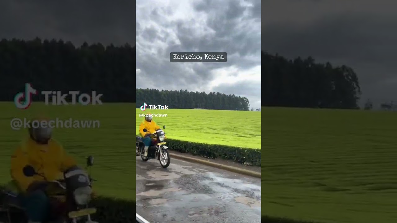 beautiful town of Kericho, Kenya 